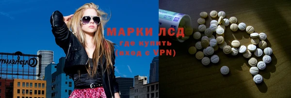 стафф Новозыбков
