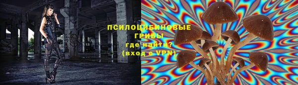 трава Нефтегорск
