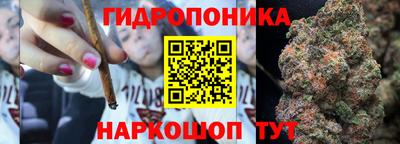 гидропоника Бийск