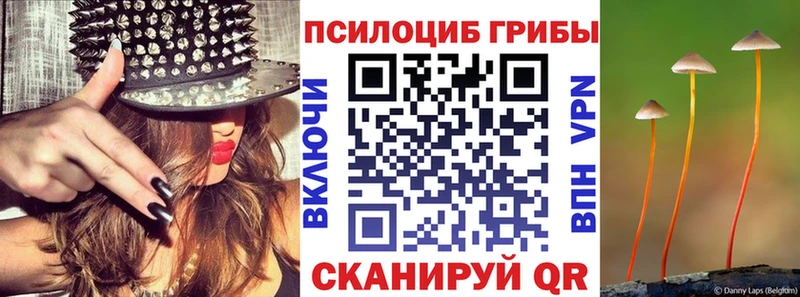 Псилоцибиновые грибы Magic Shrooms  Елец 