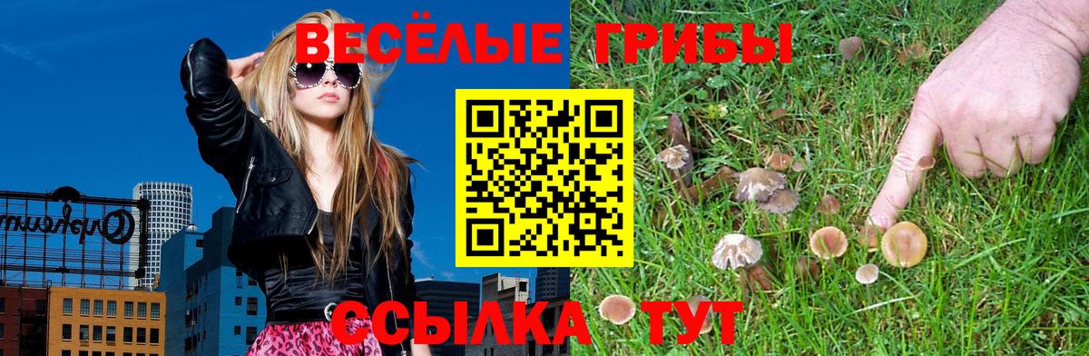 Псилоцибиновые грибы GOLDEN TEACHER Елец