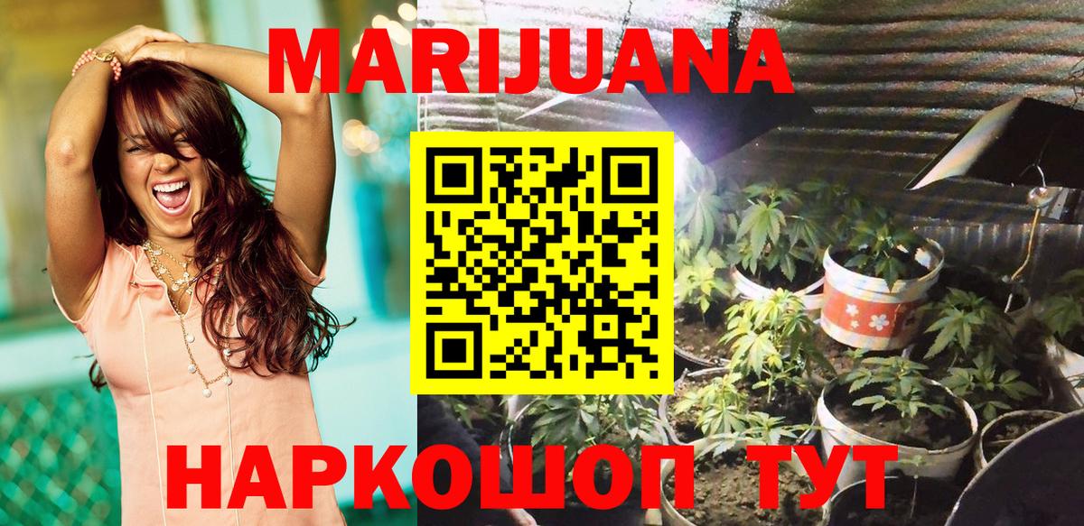 Бошки Шишки гибрид  Елец  Конопля SATIVA & INDICA  Бошки марихуана план 